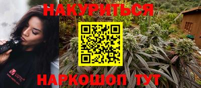 тгк Кингисепп