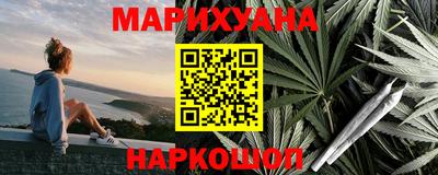 тгк Кингисепп