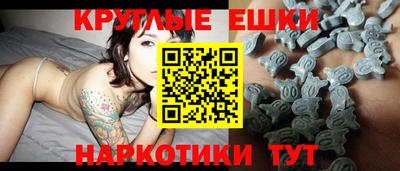 тгк Кингисепп