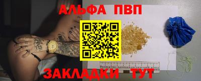 тгк Кингисепп