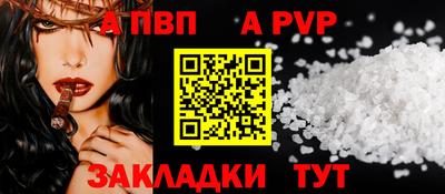 тгк Кингисепп