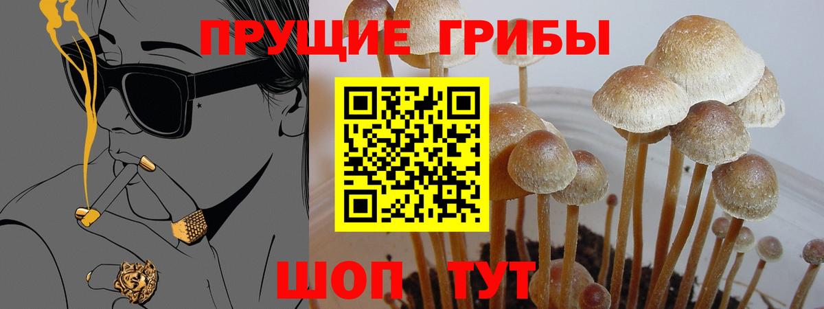 Галлюциногенные грибы Psilocybine cubensis  Вход с VPN  Учалы 